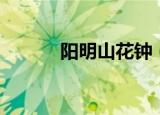 阳明山花钟（阳明山花园酒店）