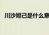 川沙妲己是什么意思（川沙妲己是啥意思）