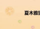 夏木雅望（夏木理绪）