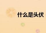 什么是头伏（关于头伏的介绍）