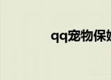 qq宠物保姆（qq宠物保姆）