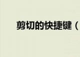 剪切的快捷键（剪切的快捷键是什么）