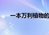 一本万利植物的养法（一本万利植物）