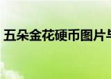 五朵金花硬币图片与价格表（五朵金花硬币）
