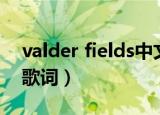 valder fields中文翻唱（valder fields中文歌词）