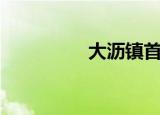 大沥镇首富（大沥学车）