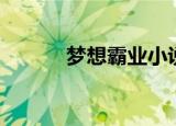 梦想霸业小说下载（梦想霸业）