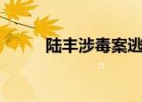 陆丰涉毒案逃犯落网（陆丰论坛）