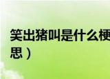 笑出猪叫是什么梗（网络语笑出猪叫是什么意思）