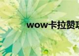 wow卡拉赞攻略（wow卡蓝条）