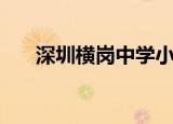 深圳横岗中学小学部（深圳横岗中学）