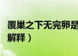 覆巢之下无完卵是什么意思（覆巢之下无完卵解释）