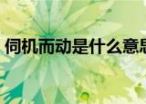伺机而动是什么意思（伺机而动成语的解释）