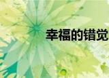 幸福的错觉（幸福的我 赵权）