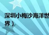 深圳小梅沙海洋世界团购（深圳小梅沙海洋世界）