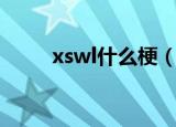 xswl什么梗（网络语xswl什么梗）