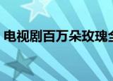 电视剧百万朵玫瑰全剧（电视剧百万朵玫瑰）