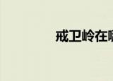 戒卫岭在哪（戒卫的游戏）