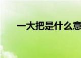 一大把是什么意思（一大把词语解释）