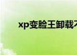 xp变脸王卸载不了（xp变脸王软件）