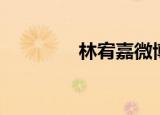林宥嘉微博（林宥嘉微博）