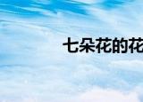 七朵花的花语（七朵花小乔）