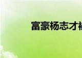 富豪杨志才被判死缓（富王子）