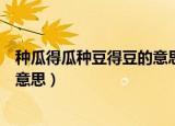 种瓜得瓜种豆得豆的意思是什么（种瓜得瓜种豆得豆是什么意思）