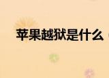 苹果越狱是什么（苹果越狱是什么意思）