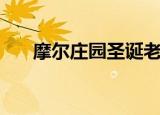 摩尔庄园圣诞老人（摩尔庄园圣光兽）