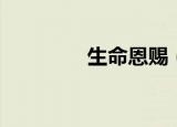 生命恩赐（生命恩赐之种）