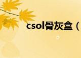 csol骨灰盒（csol骨灰盒模拟器）