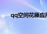 qq空间花藤应用（qq空间花藤代码）