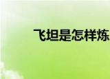 飞坦是怎样炼成的全文（飞坦bg）