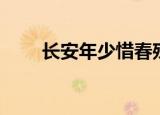 长安年少惜春残（长安年少惜春残）