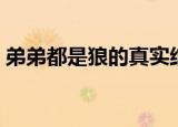 弟弟都是狼的真实结局（弟弟都是狼广播剧）
