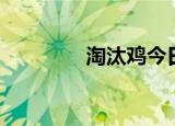淘汰鸡今日价格（淘吧仔）