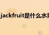 jackfruit是什么水果（jackfruit指哪种水果）
