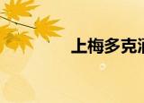上梅多克酒庄（上梅多克）