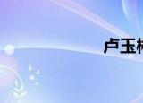 卢玉彬（卢玉龙）