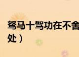 驽马十驾功在不舍意思（驽马十驾功在不舍出处）