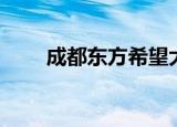 成都东方希望大厦（成都东方新娘）