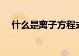 什么是离子方程式（离子方程式的例子）