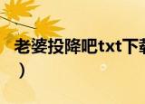 老婆投降吧txt下载最新章节（老婆投降吧txt）