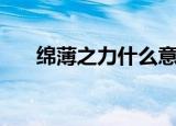 绵薄之力什么意思（这是一个什么词）
