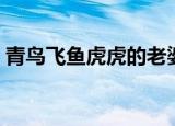 青鸟飞鱼虎虎的老婆漆亚灵（青鸟飞鱼虎虎）