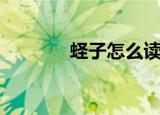 蛏子怎么读（蛏子读音简述）