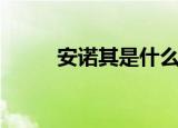 安诺其是什么概念股（安诺科拉）