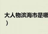 大人物滨海市是哪个省的城市（滨海市的简介）