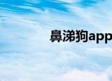 鼻涕狗app怎么用（鼻涕狗）